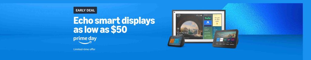 Echo displays